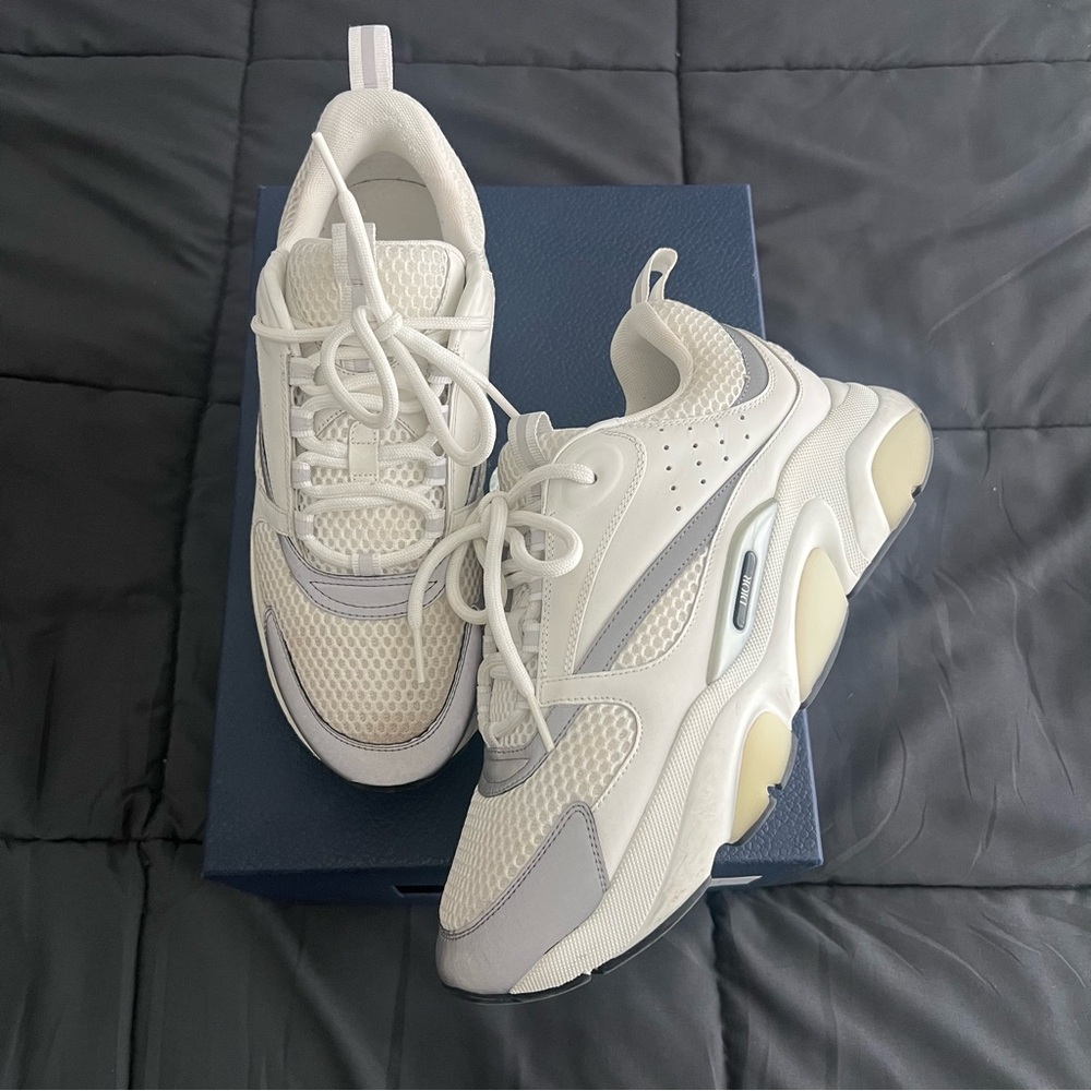 Dior b22 White and silver